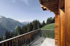 IMG_2041 IMG_2041