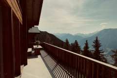 IMG_2043 IMG_2043